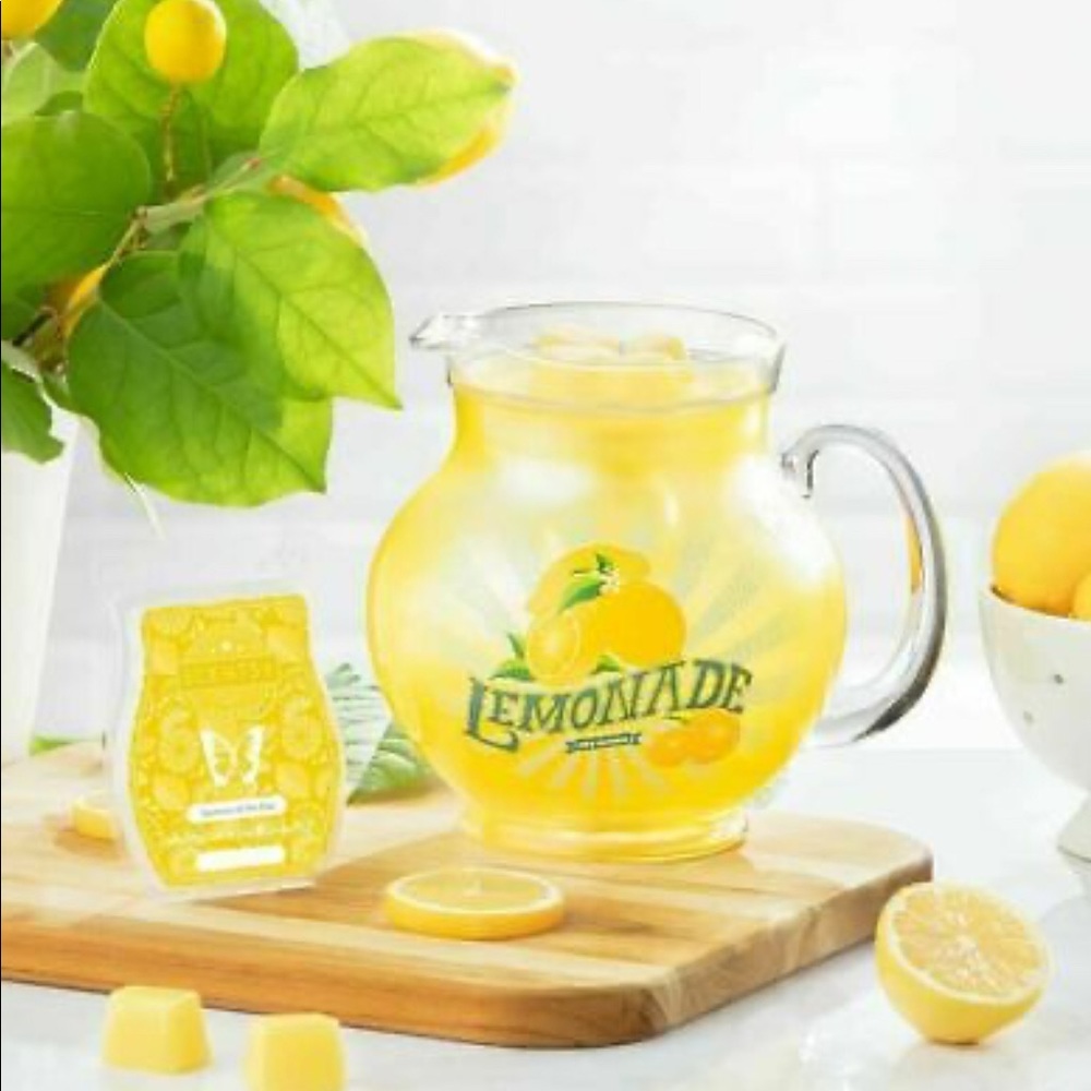 Lemonade Warmer